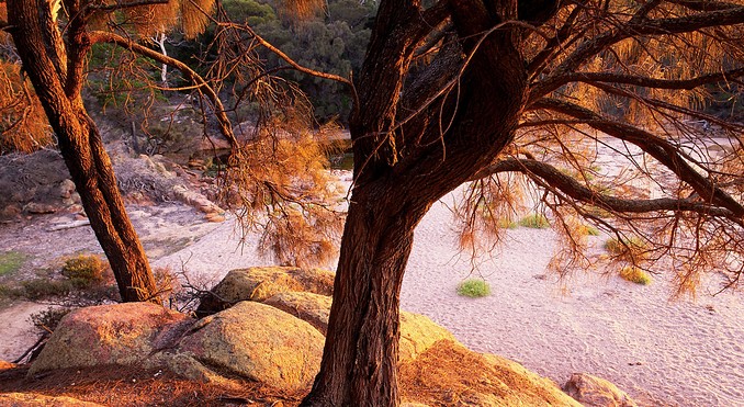 Image courtesy of Tourism Tasmania