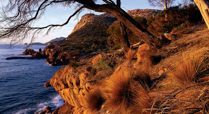 Image courtesy of Tourism Tasmania