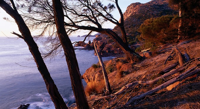 Image courtesy of Tourism Tasmania