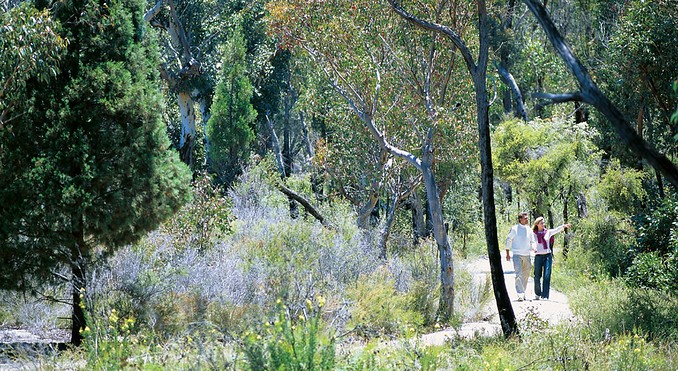 Image courtesy of Tourism Queensland
