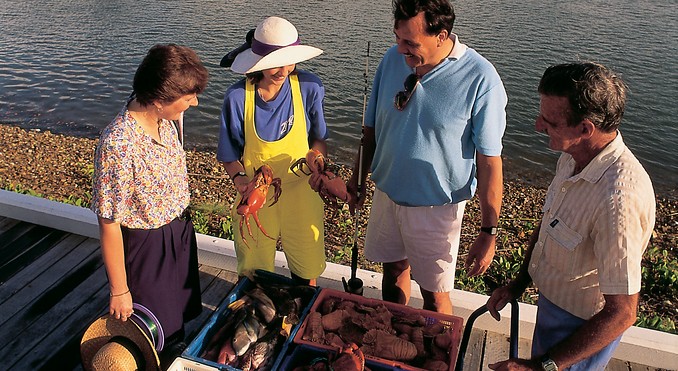 Image courtesy of Tourism Queensland