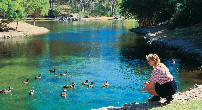 Image courtesy of Tourism Queensland