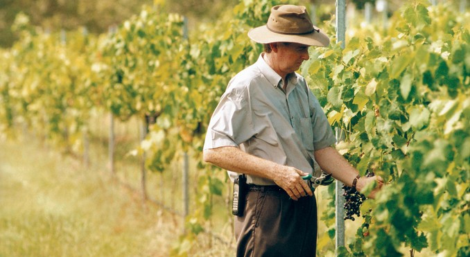 Image courtesy of Tourism Queensland