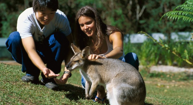 Image courtesy of Tourism Queensland