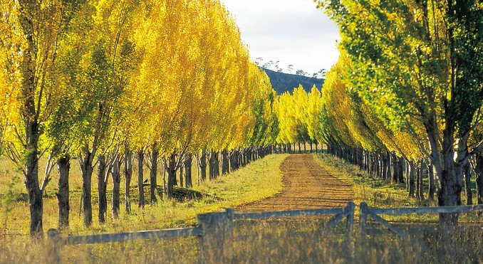Image courtesy of Tourism New South Wales