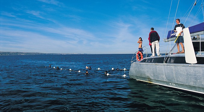 Image courtesy of South Australia