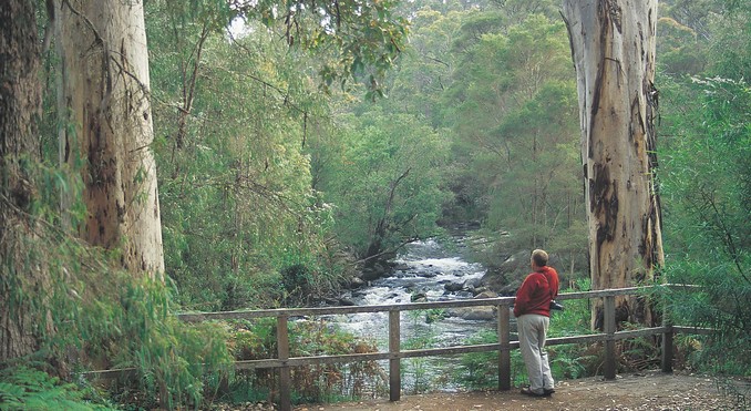 Image courtesy of Western Australia