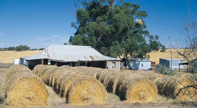 Image courtesy of Western Australia