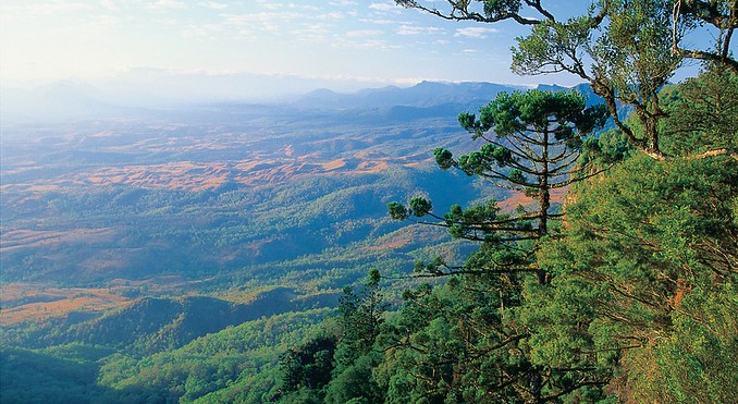 Image courtesy of Tourism Queensland