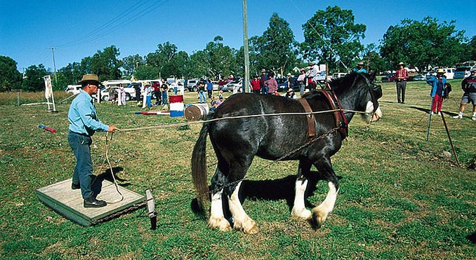 Image courtesy of Tourism Queensland