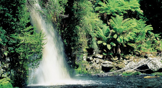 Tourism Tasmania and Joe Shemesh