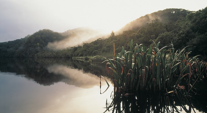 Tourism Tasmania and Joe Shemesh