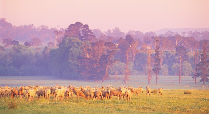 Image courtesy of Tourism New South Wales