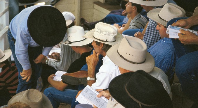 Image courtesy of Tourism Queensland