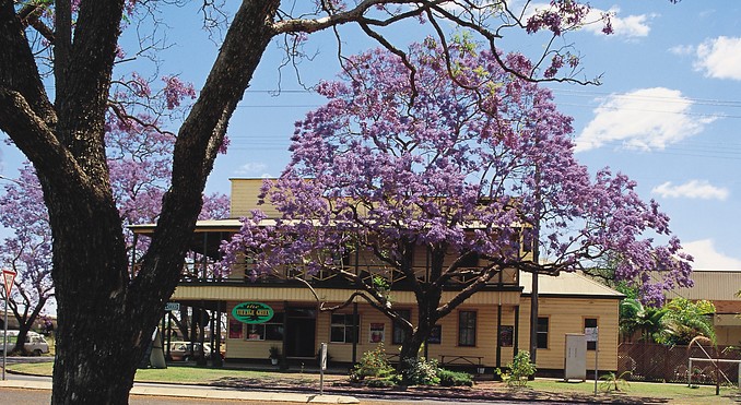 Image courtesy of Tourism New South Wales