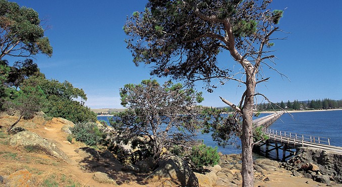 Image courtesy of South Australia
