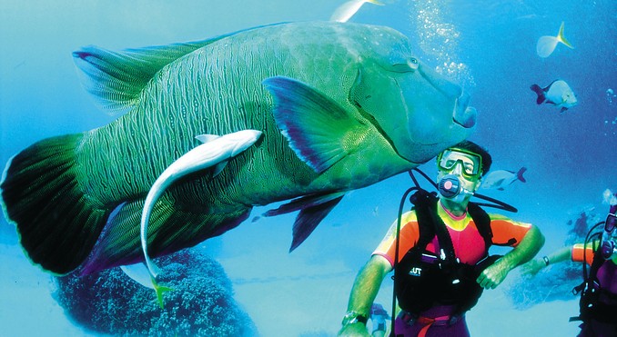 Image courtesy of Tourism Queensland