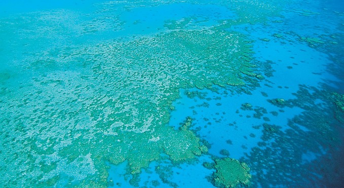 Image courtesy of Tourism Queensland