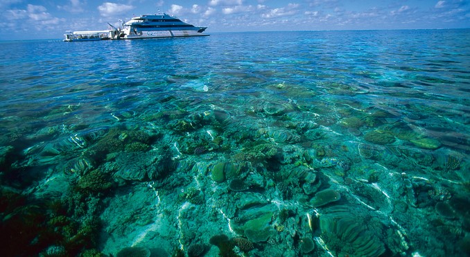 Image courtesy of Tourism Queensland