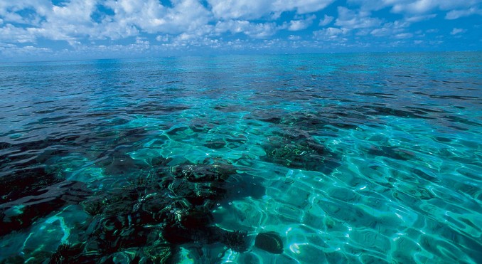 Image courtesy of Tourism Queensland