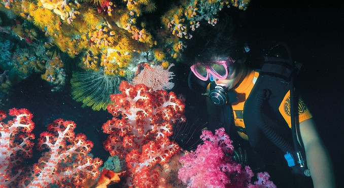 Image courtesy of Tourism Queensland