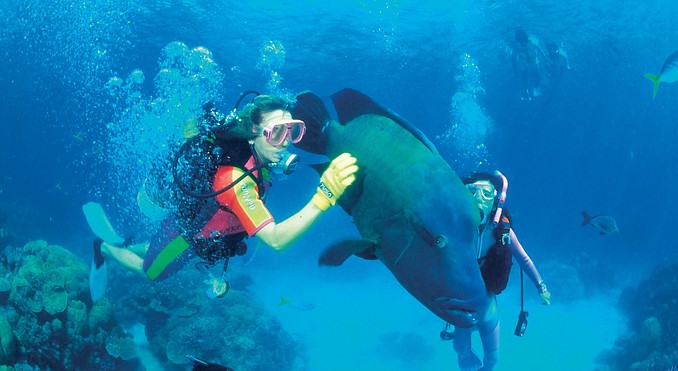 Image courtesy of Tourism Queensland