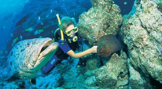Image courtesy of Tourism Queensland