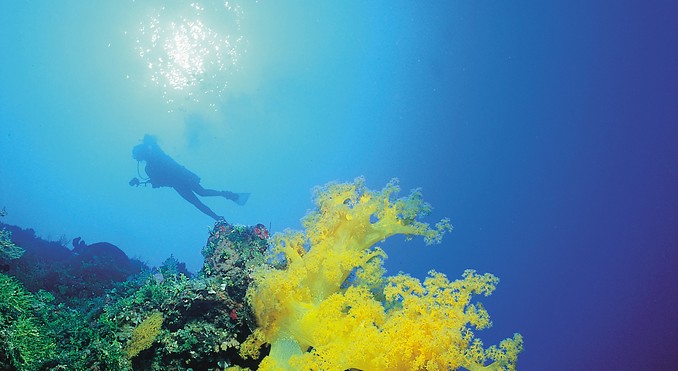 Image courtesy of Tourism Queensland