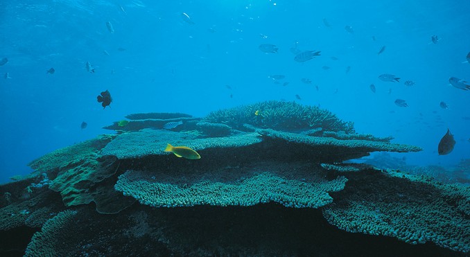 Image courtesy of Tourism Queensland