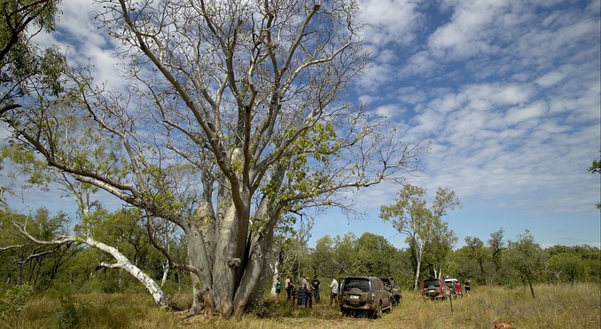 Image courtesy of Tourism NT