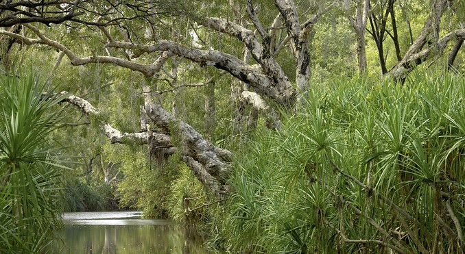 Image courtesy of Tourism NT