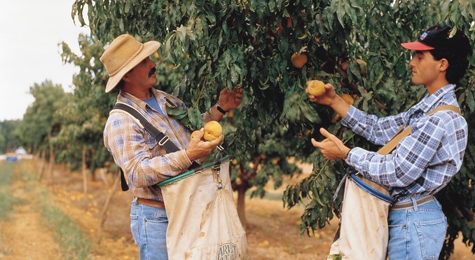 Image courtesy of Tourism New South Wales