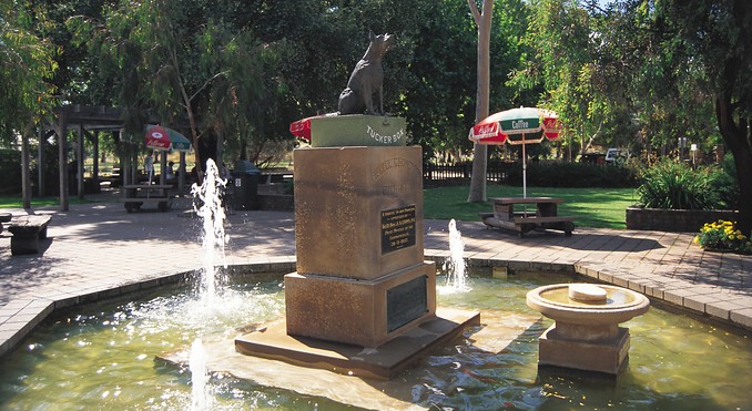 Image courtesy of Tourism New South Wales