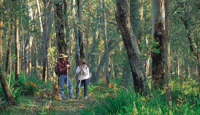 Image courtesy of Tourism New South Wales