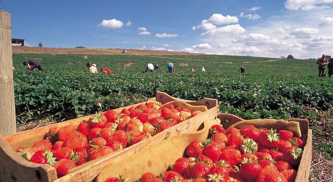 Image courtesy of South Australia