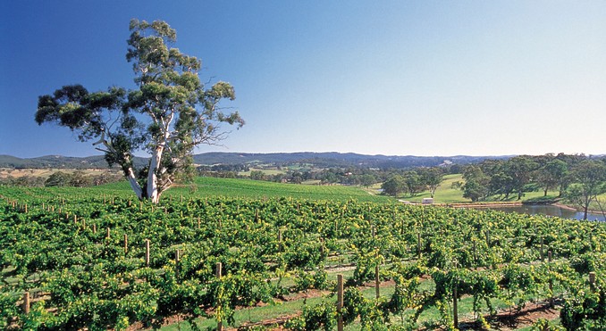 Image courtesy of South Australia