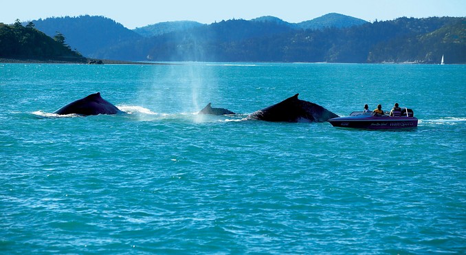 Image courtesy of Tourism Queensland