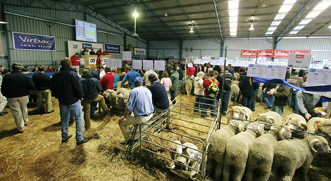 Image courtesy of Tourism Victoria
