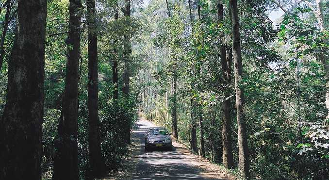 Image courtesy of Tourism New South Wales