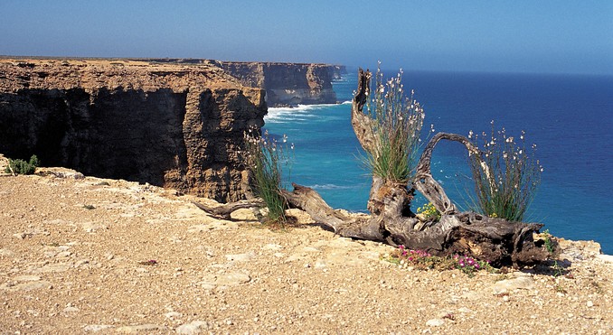 Image courtesy of South Australia