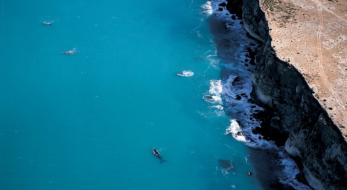 Image courtesy of South Australia