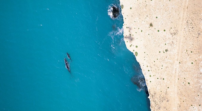 Image courtesy of South Australia