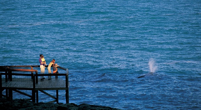 Image courtesy of South Australia