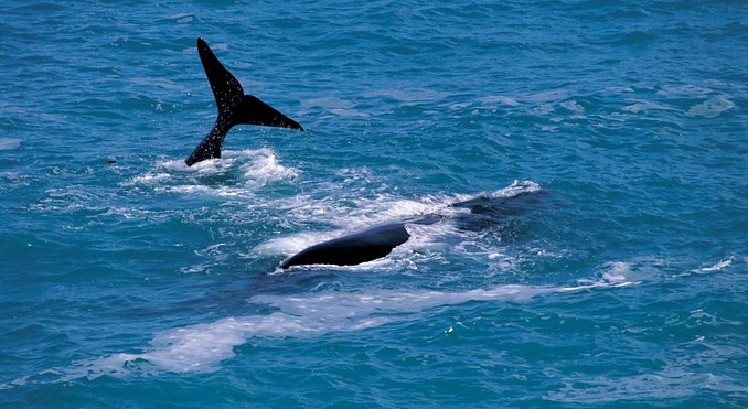 Image courtesy of South Australia