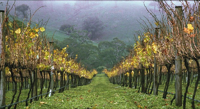 Image courtesy of Tourism Victoria