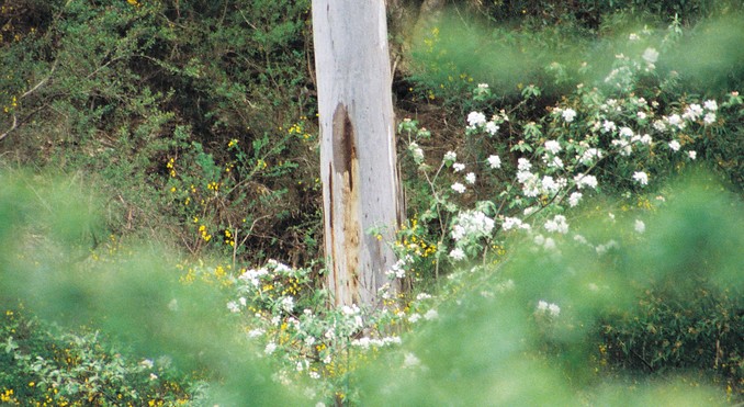 Image courtesy of Tourism Victoria