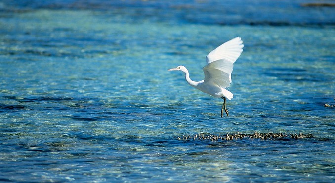 Image courtesy of Tourism Queensland