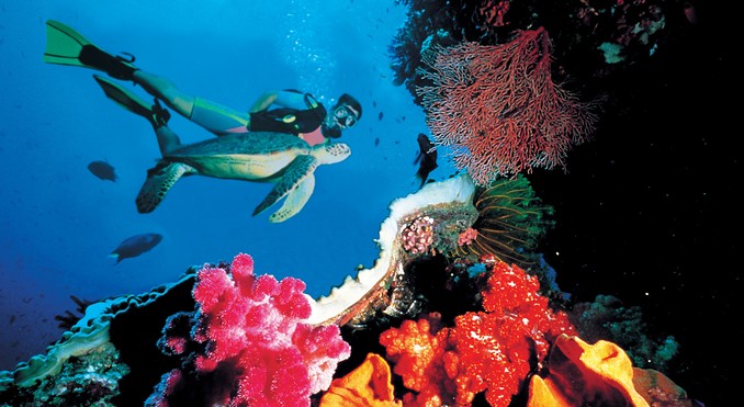 Image courtesy of Tourism Queensland