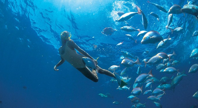 Image courtesy of Tourism Queensland