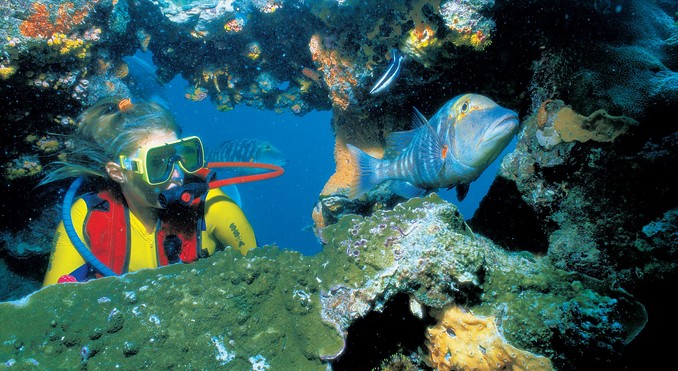 Image courtesy of Tourism Queensland